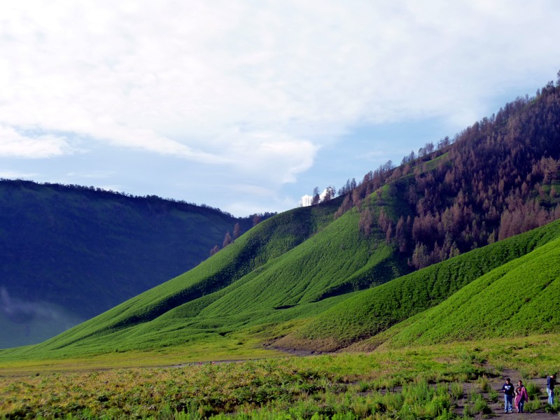 Padang Savana Gunung Bromo